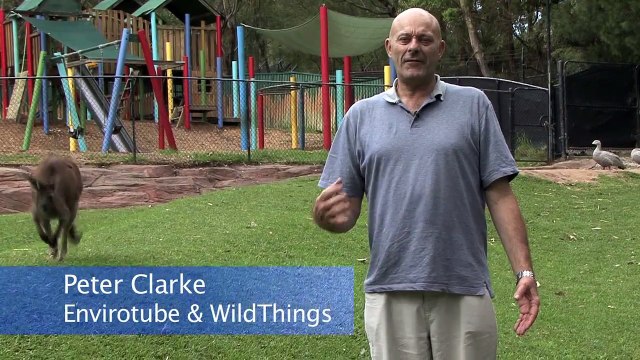 Milking Deadly Funnel-web spiders: Pt 1 Envirotube