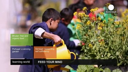 The message of healthy food in schools