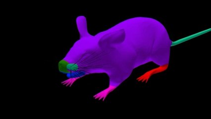 فأرة تجارب افتراضية تغني العلماء عن الفئران الحقيقية
