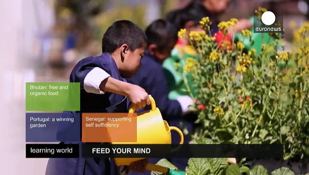 Besser lernen dank gesunder ernährung