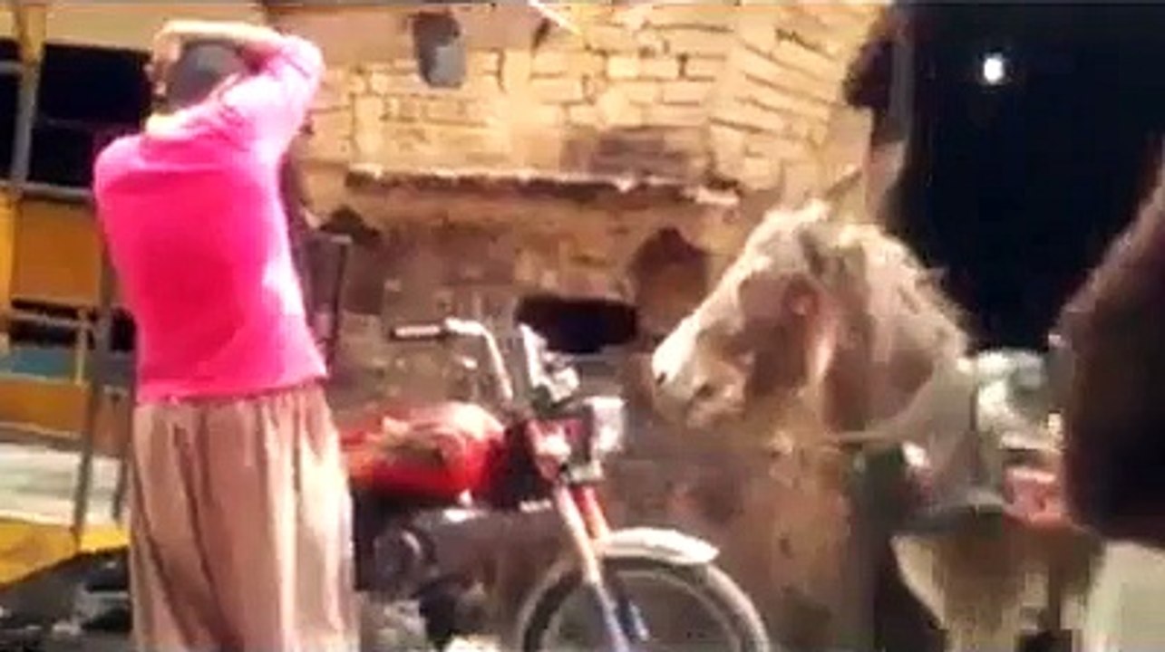 funny dance