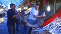 2,5 Metrelik Camgöz Köpek Balığı Yakalandı