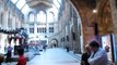 Natural History Museum London: Video Tour (dinosaurs, whales and more!)
