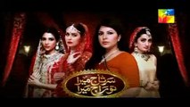 Sartaj Mera Tu Raaj Mera Episode 46 Promo 8 May 2015
