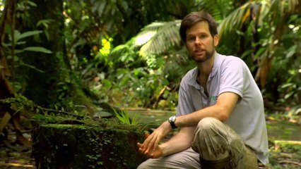 Debunking Myths about Gametophyte ecology