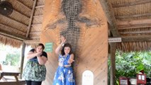 Louisiana-Bahamas-Florida 2014, jour 11: Alligator Farm