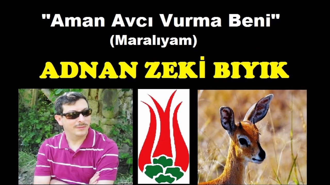 Aman Avcı Vurma Beni-Adnan Zeki Bıyık