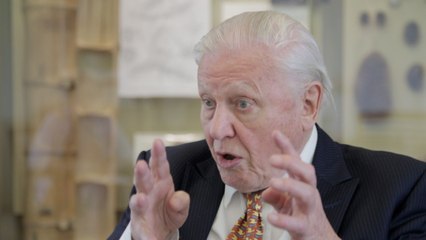David Attenborough on religion and evolution coexisting