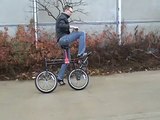 NIU Adjustable Rear Steered Bicycle