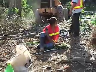 Panama Animal Rescue Music Video Arcade Fire