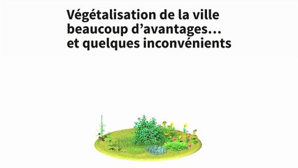 Végétalisation en ville : avantages et inconvénients