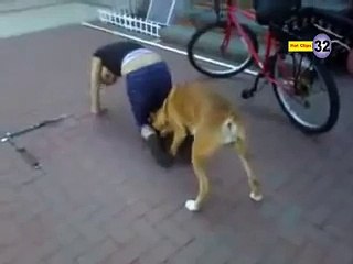 kuta buchi per charh gya