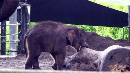 Pathi Harn Turns One Month Old