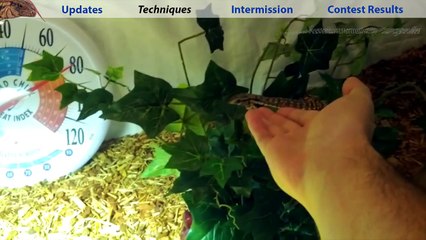 ☜ Taming Techniques