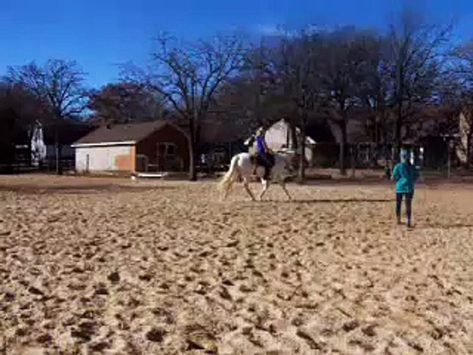 Kelly and Pal - Dressage Lesson