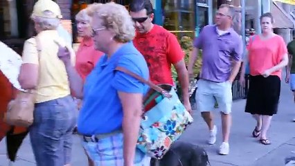 German Shepherd with the bast obedience you ever seen