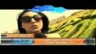 BITS,Pilani - Goa Campus MTV COVERAGE (Waves 2k9)