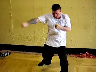 Chen Taijiquan Fajin Training (solo & short power app.)