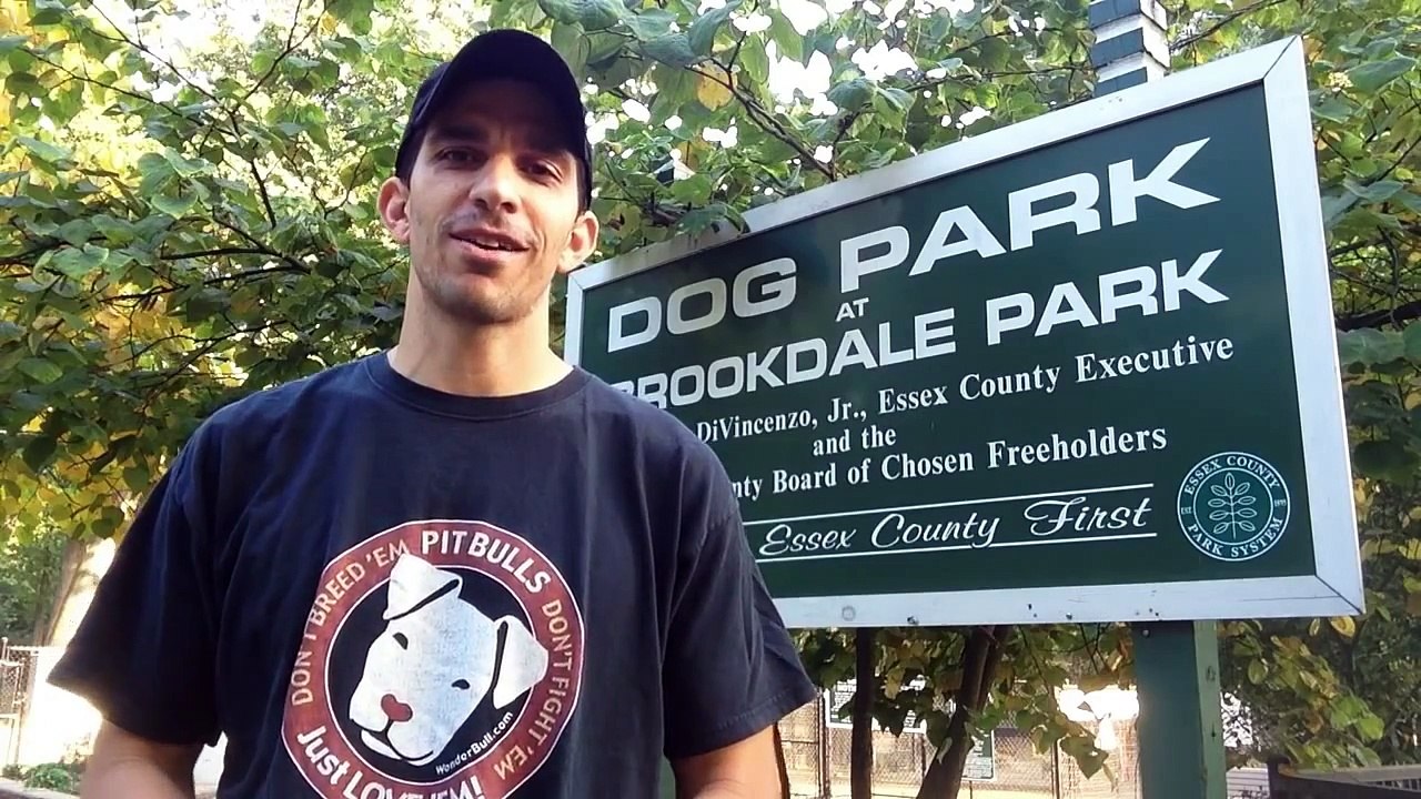 Dog Park Safety