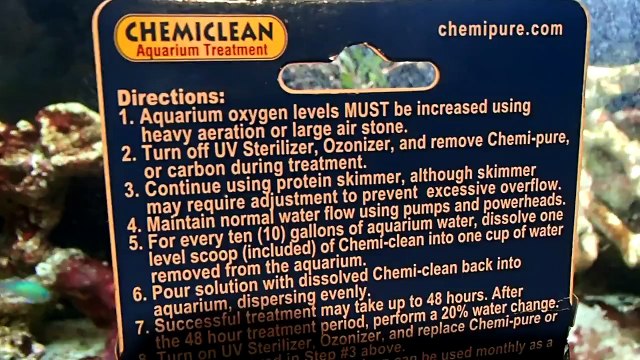 Cyano Bacteria ( Red Slime) Problems Solutions Treatment Prevention