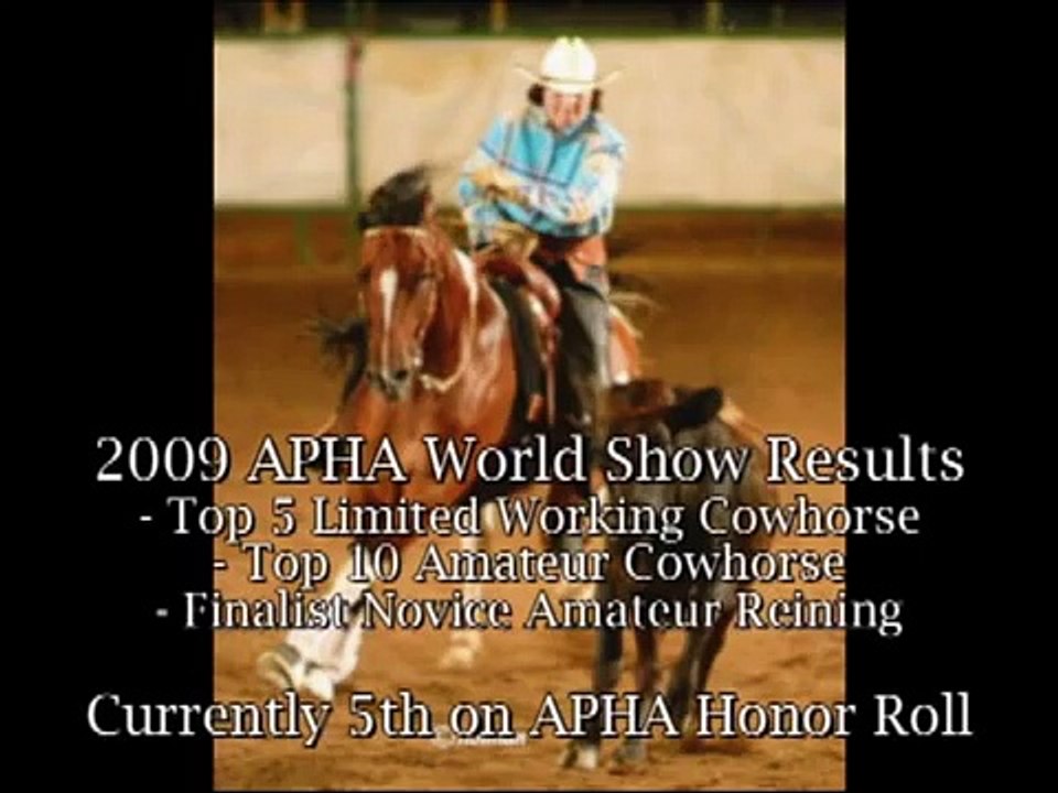 2002 APHA Finished Reining and Cowhorse Mare For Sale by Color Me Smart - Dun Colored Smartly