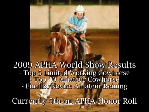 2002 APHA Finished Reining and Cowhorse Mare For Sale by Color Me Smart - Dun Colored Smartly