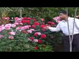 MAHMUT DURGUN GEYLANİ ARAPÇA