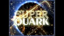 Super Quark diretto da Absoline85 - 1° puntata - strani animali