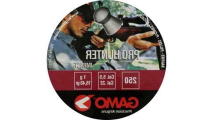 Gamo Pro-Hunter 5.5 мм 250 шт 6321925