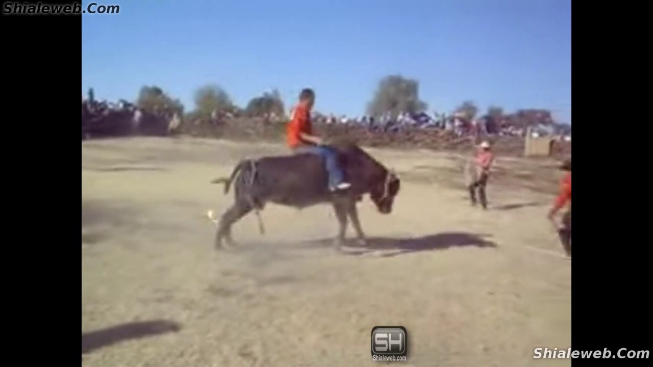 1/3 SUPERO JARIPEO EXTREMO RANCHERO EN SANTA CRUZ DE GAMBOA GUANAJUATO MEXICO LAS MEJORES MONTAS CON TOROS SALVAJOTES Y JINETES PROFESIONALES MAYO 2015