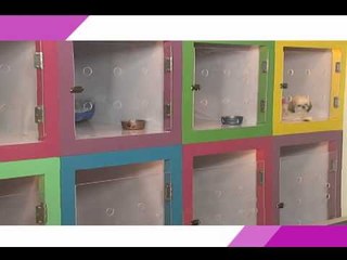 KRIS TV December 10, 2014 Teaser