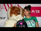 Flirtatious Jacqueline Fernandes at Lakme Fashion Week PETA Promotion