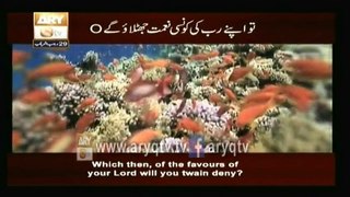surah rehman with translation - Videos ARY QTV_2