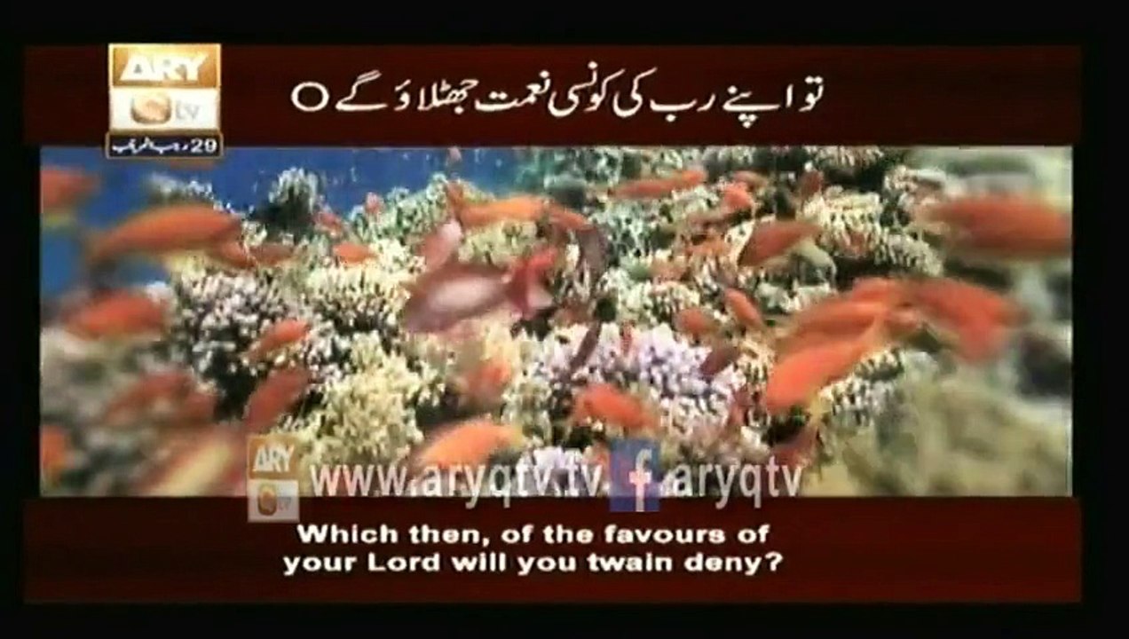 surah rehman with translation - Videos ARY QTV_2
