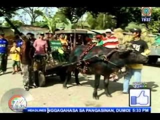 Descargar video: TV Patrol North Central Luzon - May 8, 2015