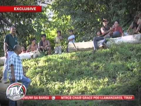 EXCL: Governor tagged in illegal logging