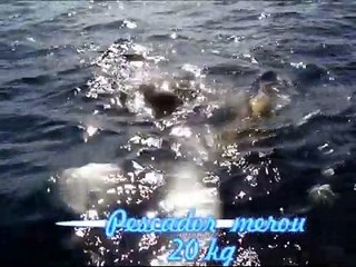 Chasse-sous-marine en ALGERIE By Pescador.wmv