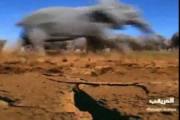 مشاهد افتراس مثيرة وغريبة 5