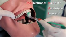 Tutorial: Richtig Zähne putzen - per Hand und elektrisch (Zahnputztechnik)