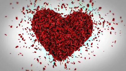 After Effects Project Files - Heart Of Flying Petals - VideoHive 9764483
