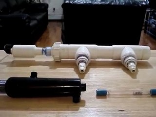 Saltwater Ich (White Spot) On Fish Disease Problems & Solutions