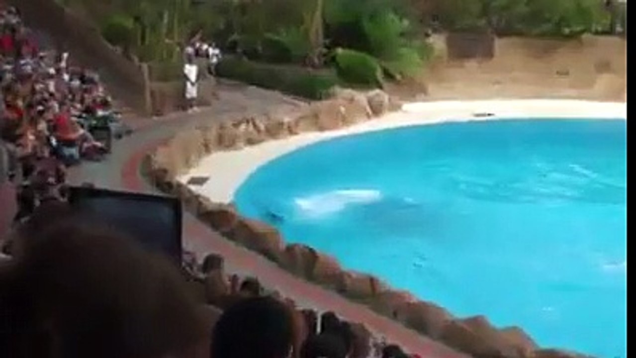 Teen Club Fish Jumping Amazing stress During Playing Games