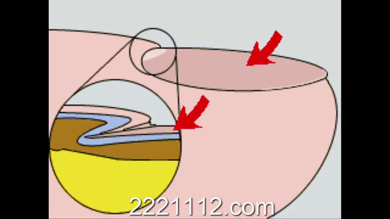 Growth of A Nail