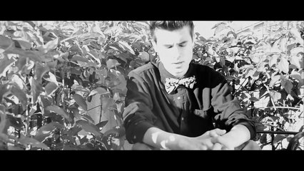 Little Things- One Direction (Music Video)