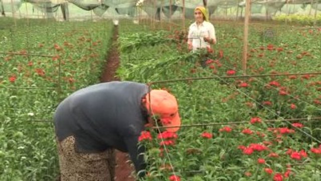 Çiçekçilik Sektörüne Anneler Günü Dopingi