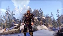 The Elder Scrolls Online  Tamriel Unlimited - GamePlay Trailer (PC/PS4/XBOX ONE)