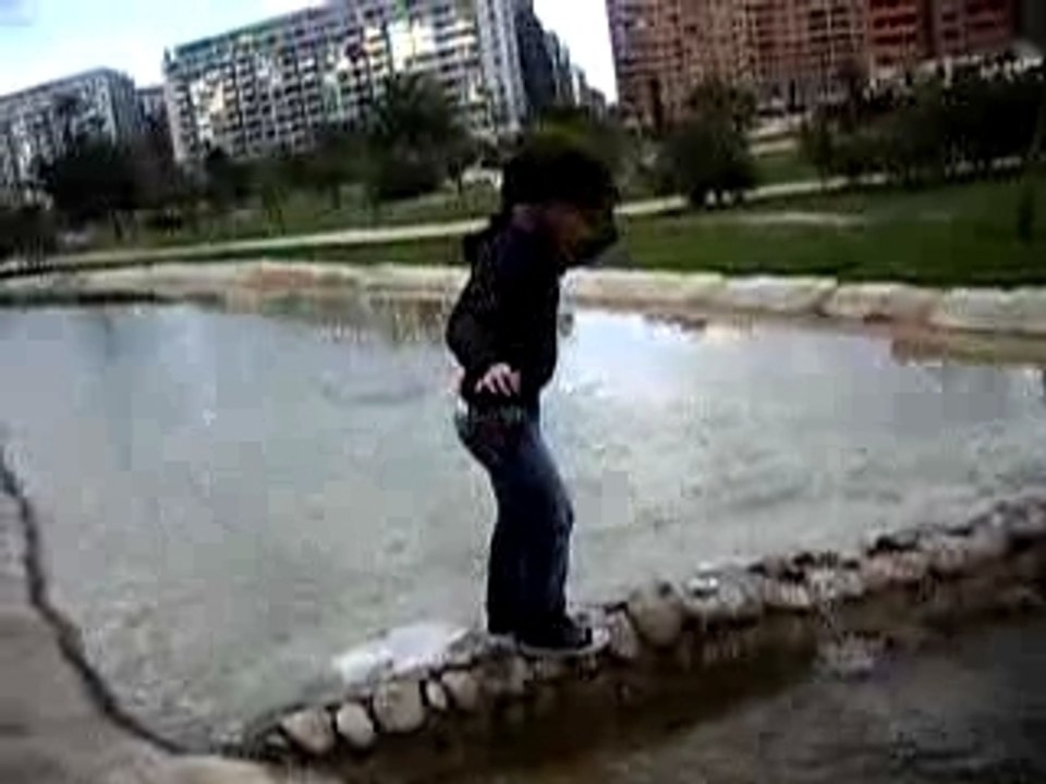 Fallas 2007