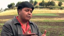 Proceso de producción, comercialización y consumo de Quinua - Ecuador