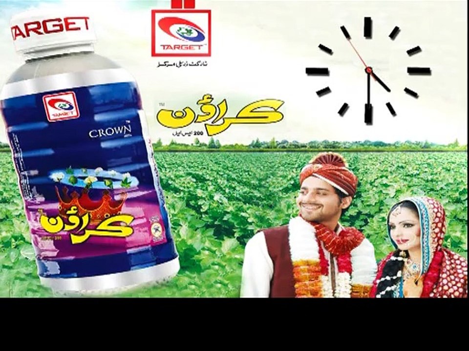 KISAN TIME Time Chek Crwon-Ch 5