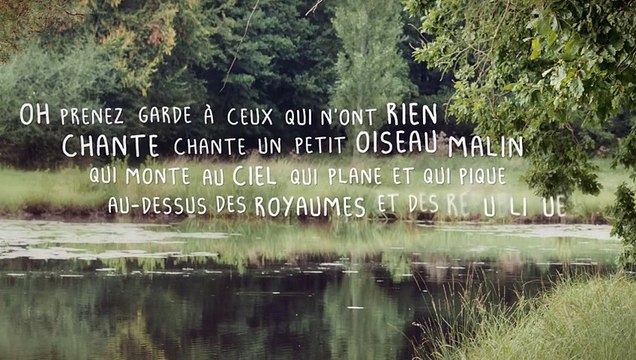 Alain Souchon et Laurent Voulzy - Oiseau malin (parole-Lyrics video)